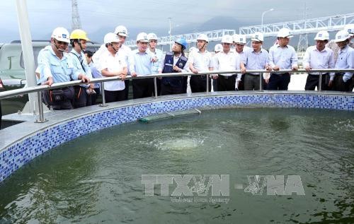 Tran Hong Ha contrôle les ouvrages de traitement des eaux usées de Formosa  - ảnh 1